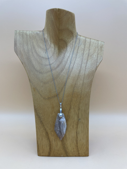 Sonnenstein „Southern Sunbeams“